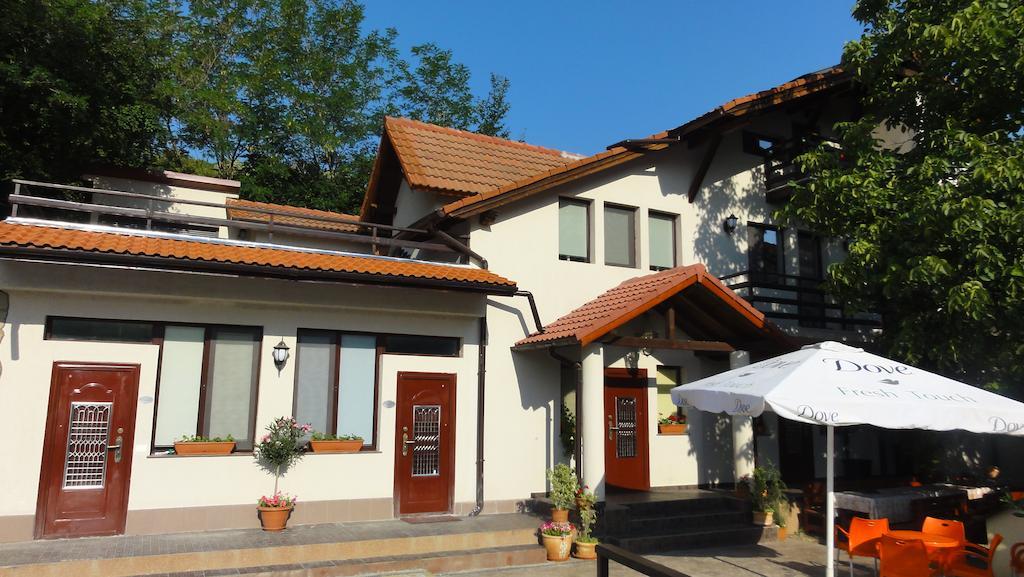 Vila Europa Sărata-Monteoru Buitenkant foto