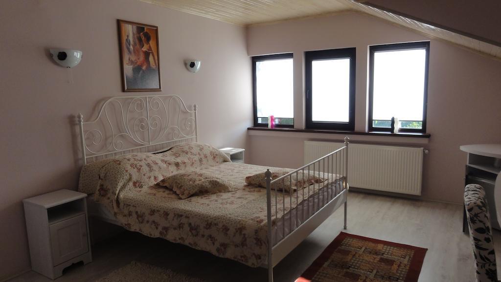Vila Europa Sărata-Monteoru Kamer foto